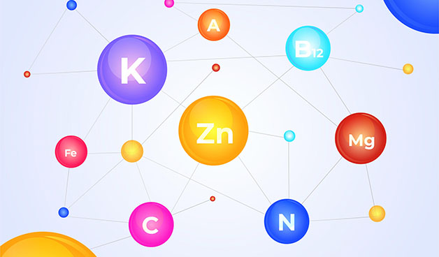 Почему дефицит микроэлементов неизбежен при похудении
